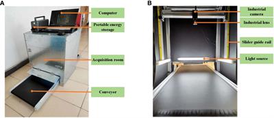 Detection of breakage and impurity ratios for raw sugarcane based on estimation model and MDSC-DeepLabv3+